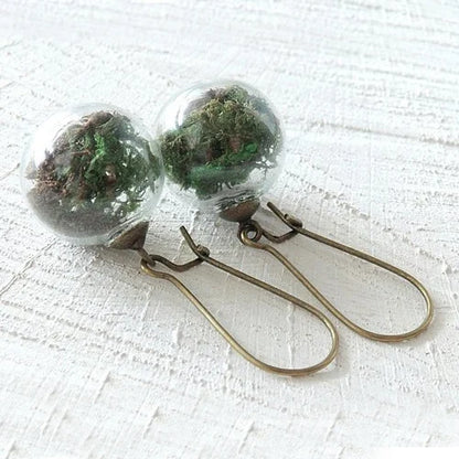 16MM Glass Globe Dandelion Seed Earrings Eco Earring Botanical Jewelry Nature Real Dried Flowers Dangle Earrings For Women